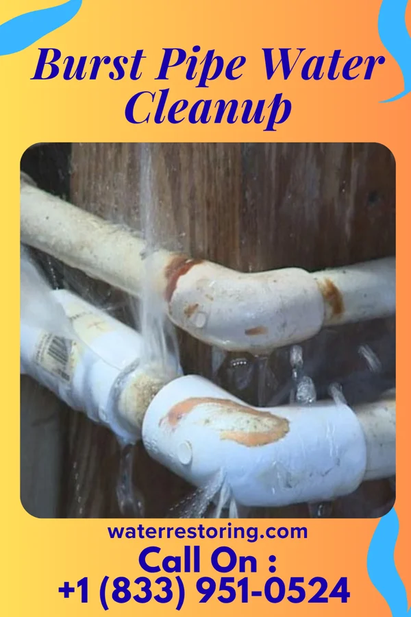 Burst Pipe Water Cleanup in Ethete, WY