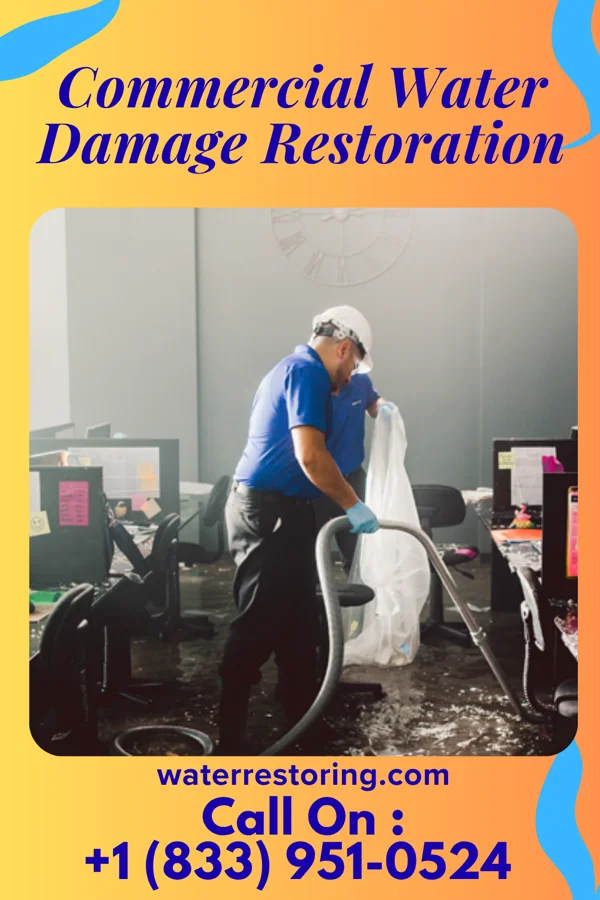 Commercial Water Damage Restoration in Ethete, WY